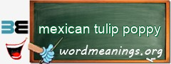 WordMeaning blackboard for mexican tulip poppy